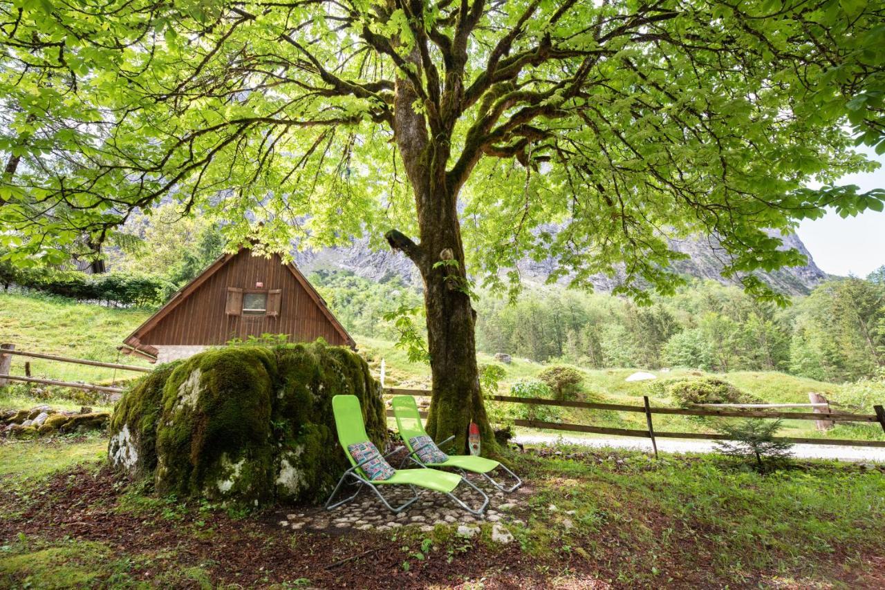 Вилла Fairy Tale House Трента Экстерьер фото